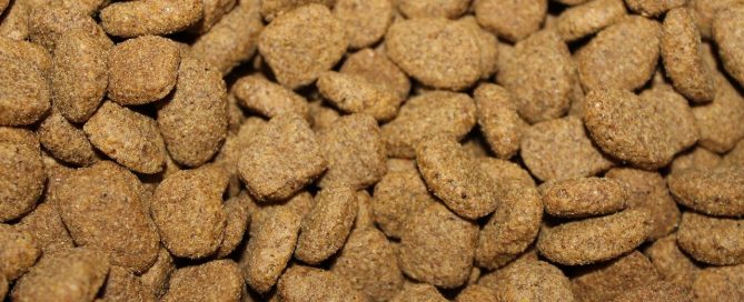 Raw Pet Food
