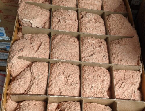 Raw Pet Food – What’s It Made Of?